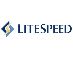 Revolutionizing Web Hosting: The Speed and Efficiency of LiteSpeed Hosting